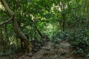 הפארקים של ויאטנם תכנון טיול בויאטנם