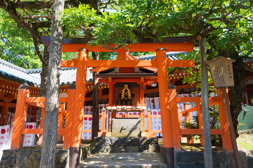 Kasuga Taisha Shrine