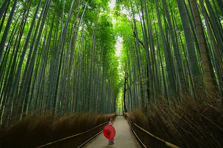 תכנון טיולים ליפן בהתאמה אישית