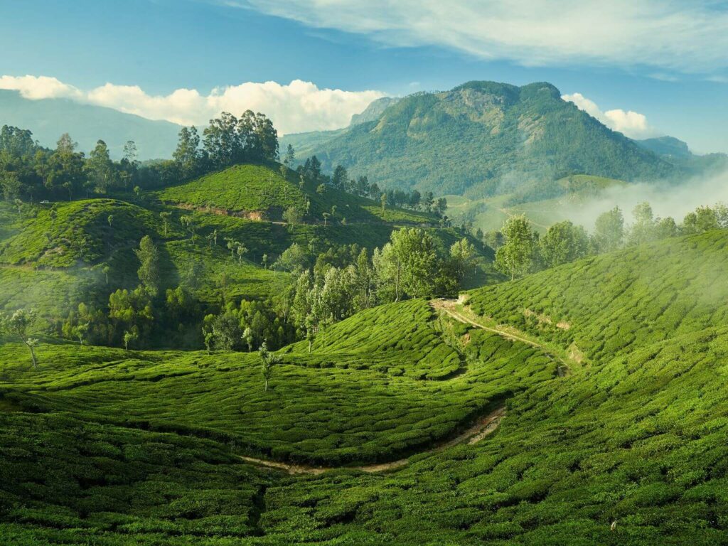 טיול להודו - מונאר