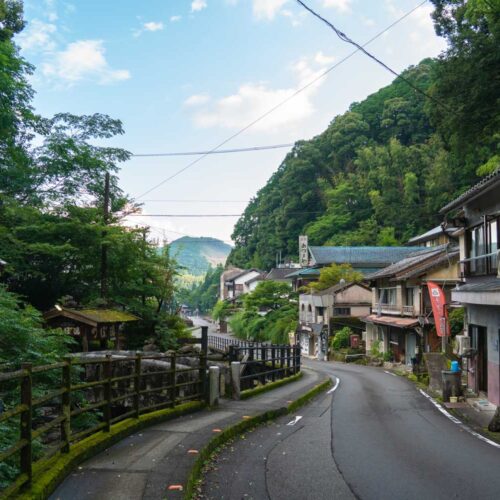 ייעוץ פרטי VIP