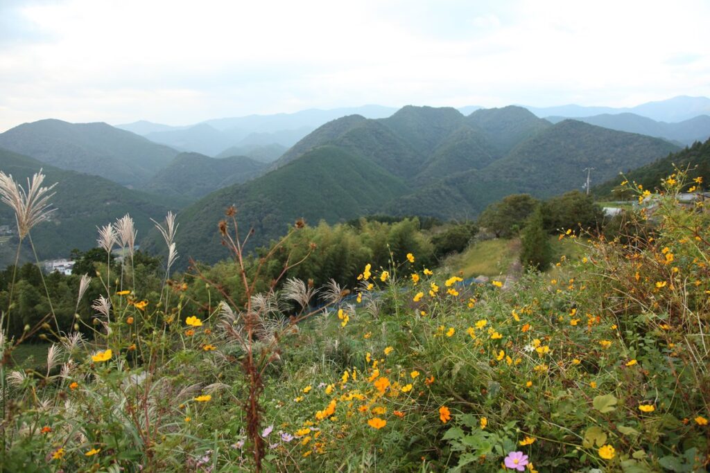 שביל קומאנו קודו