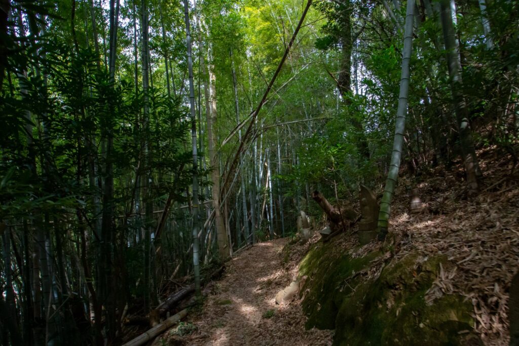 קומאנו קודו קייג’י – טיול הליכה עצמאי, 6 ימים