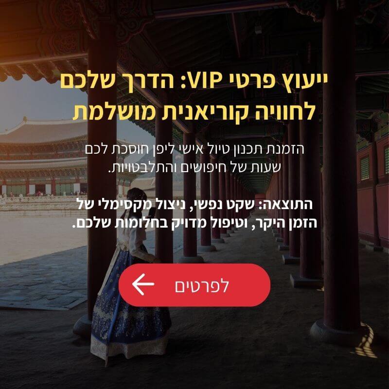 ייעוץ פרטי VIP: הדרך שלכם לחוויה קוריאנית מושלמת