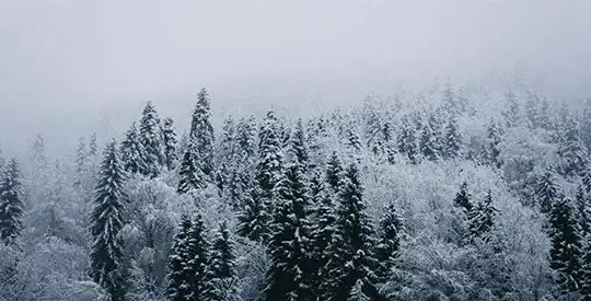 Kumano Kodo WINTER יום 1