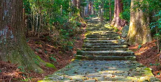 יום 2 הליכה מיואסה להידאקה