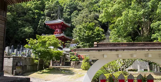 טרק 88 המקדשים בשיקוקו עצמי - 5 ימים יום 3