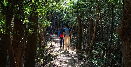 טרק בקיושו יום 4