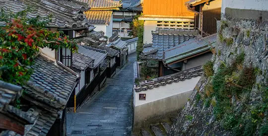 טרק בקיושו יום 7