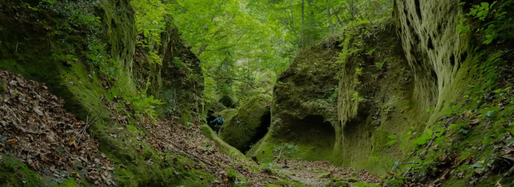 טרק היילייטים של הוקאידו סאפורו ומעבר לה תמונה ראשית
