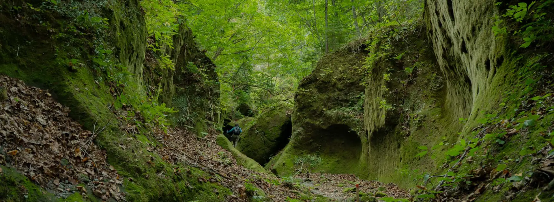 טרק היילייטים של הוקאידו סאפורו ומעבר לה תמונה ראשית