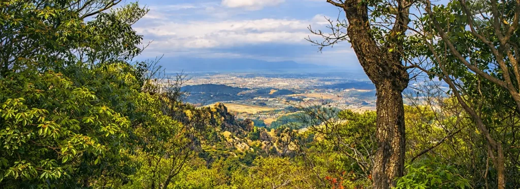 טרק טוקאידו פרימיום Tokaido תמונה ראשית