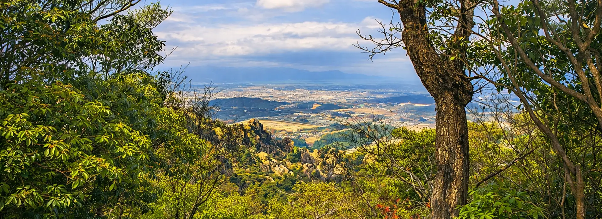 טרק טוקאידו פרימיום Tokaido תמונה ראשית