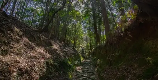 טרק קומאנו קודו איסג’י יום 4