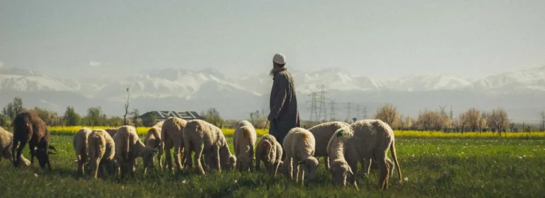 תרבות ונימוסים בקירגיזסטן