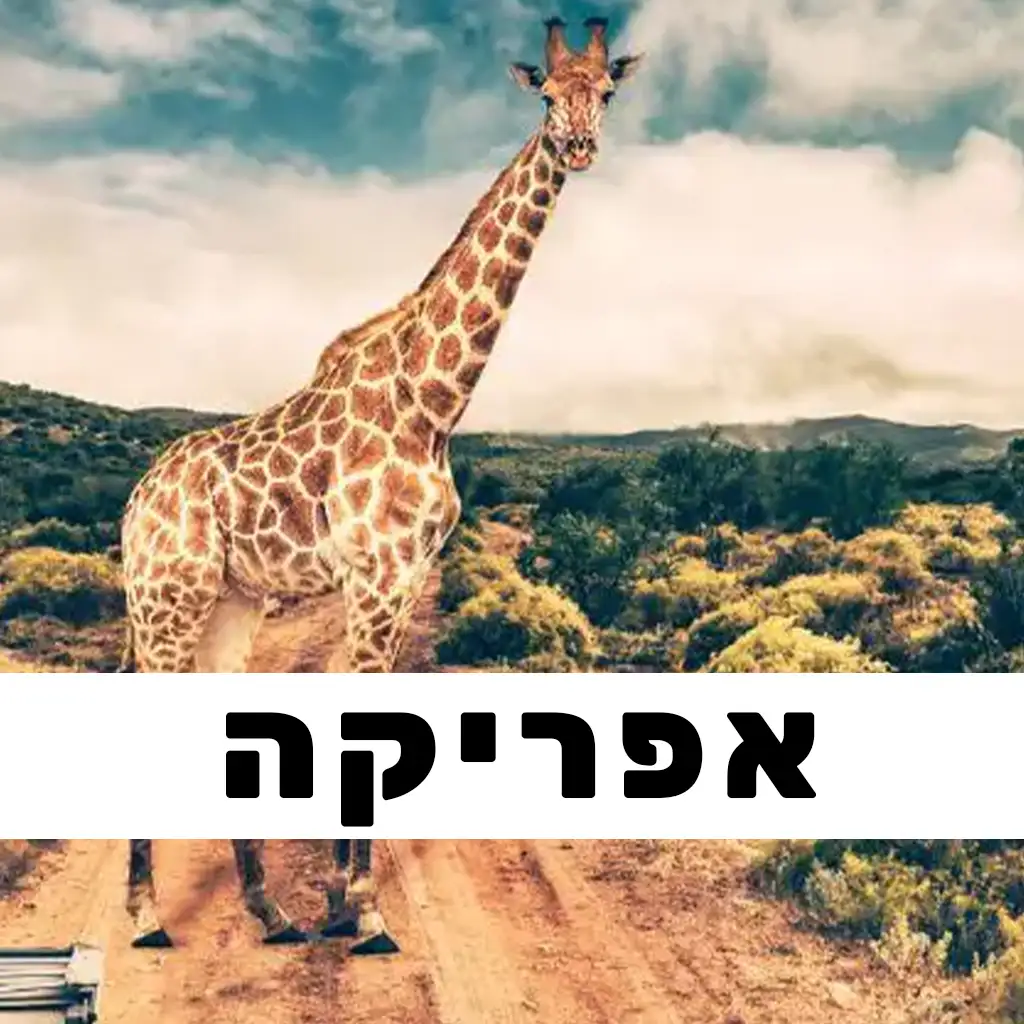 אפריקה פוסטים | GO EAST
