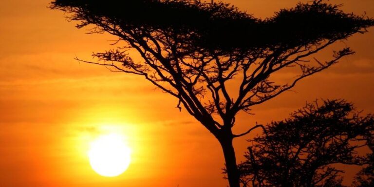 העונה המומלצת לספארי בטנזניה