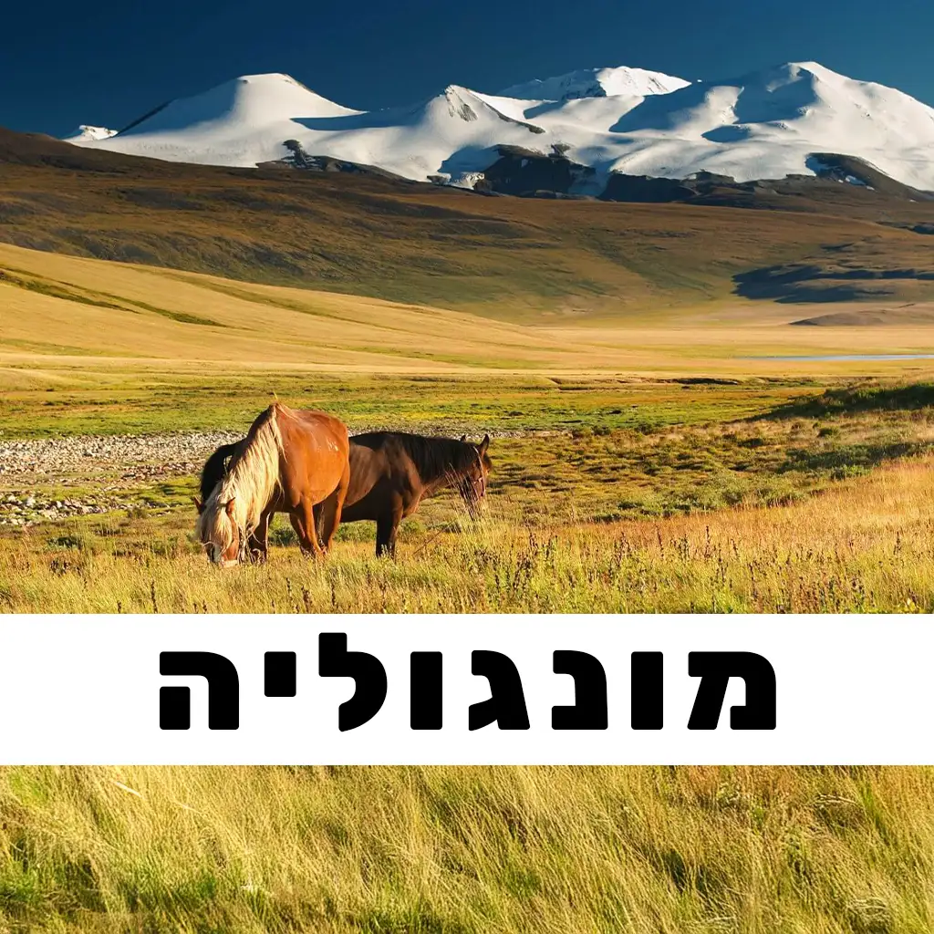 מונגוליה פוסטים | GO EAST