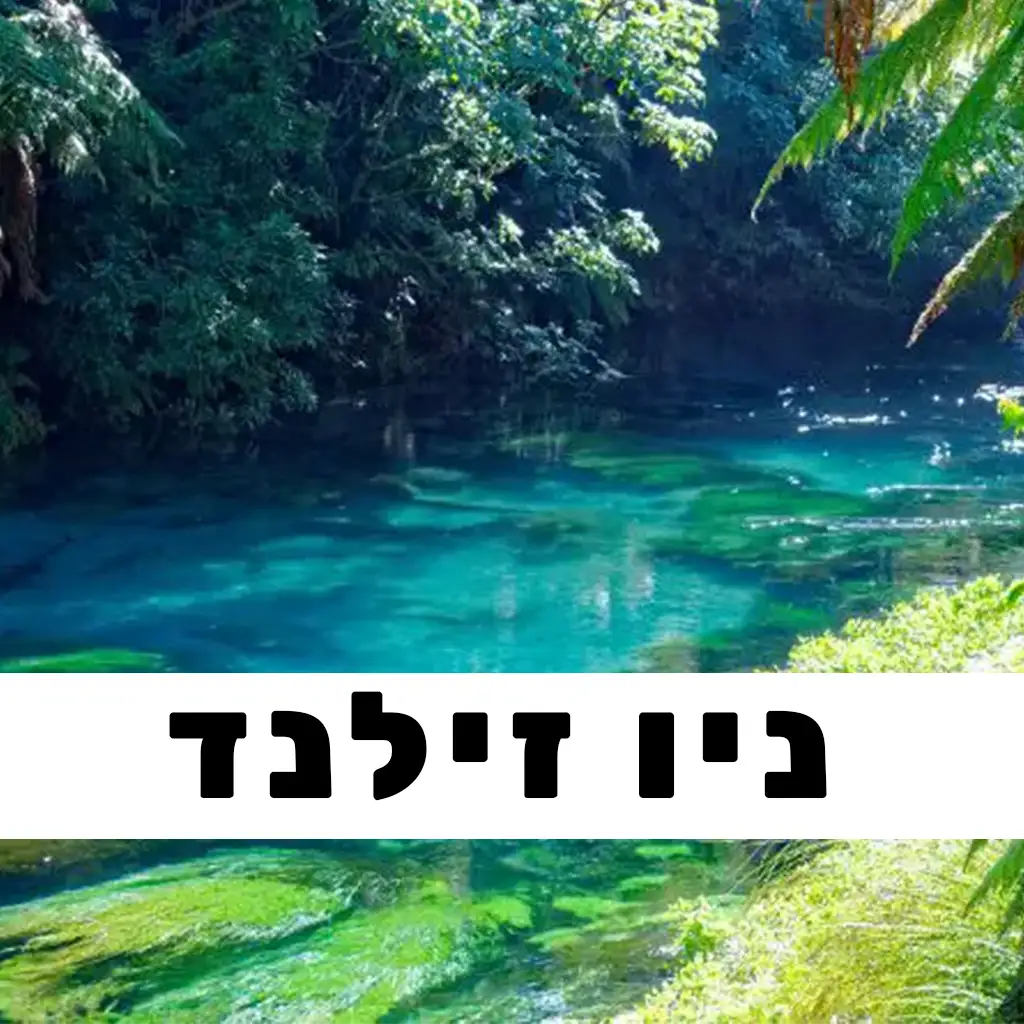 ניוזילנד פוסטים | GO EAST