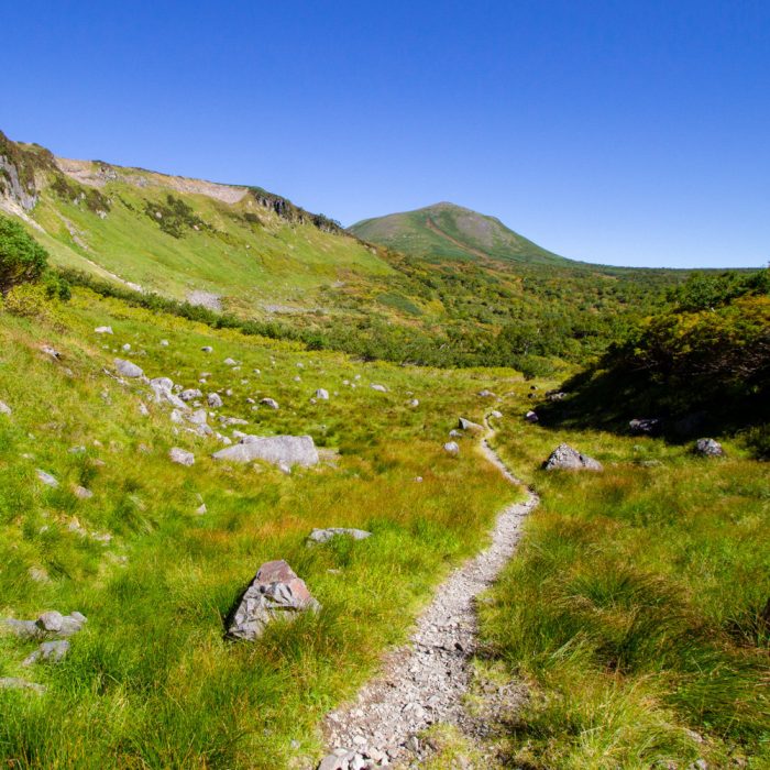 החוויה של GO EAST TRAVEL בהוקאידו