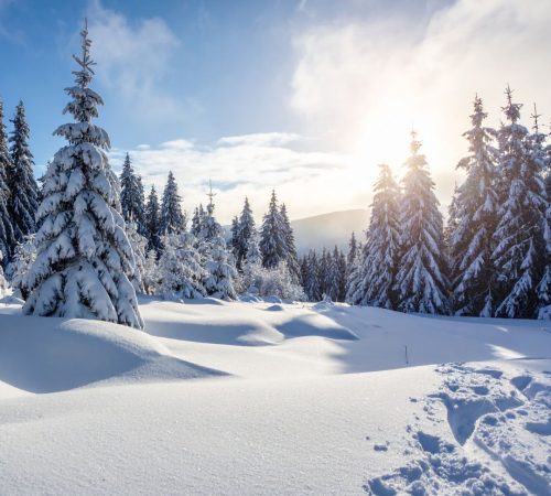 חופשת שלג בשאהדאג
