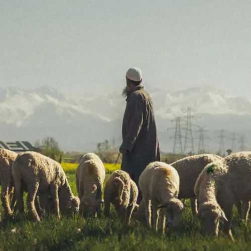 תרבות ונימוסים בקירגיזסטן